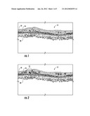 Method and System for Analyzing Optical Coherence Tomography (OCT) Results     using Color Reflectivity Discretization Analysis diagram and image