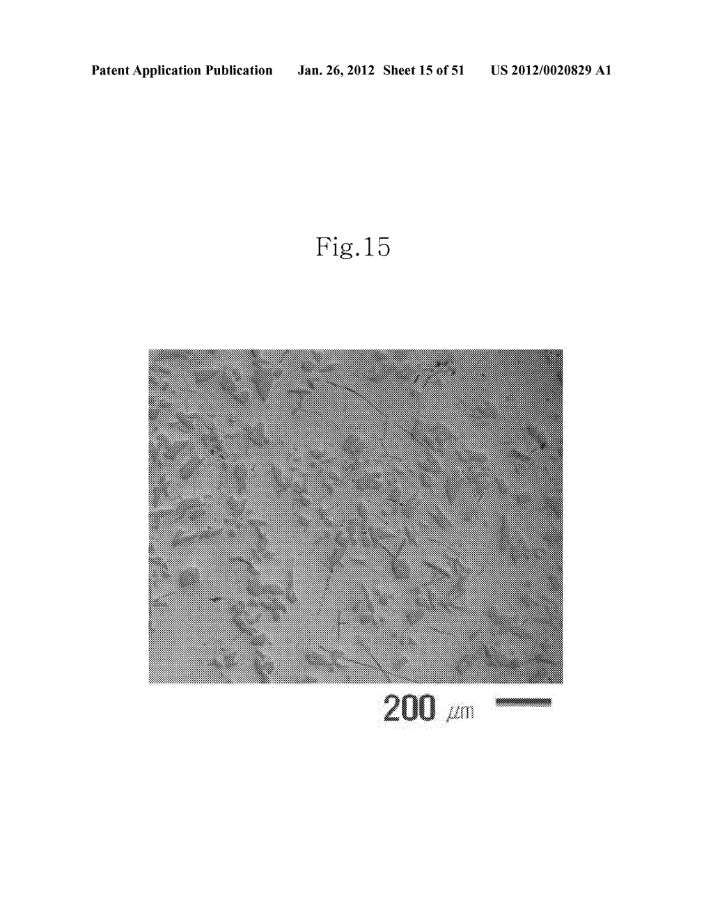 HEAT-RESISTANT ALUMINUM ALLOY AND METHOD FOR MANUFACTURING THE SAME - diagram, schematic, and image 16