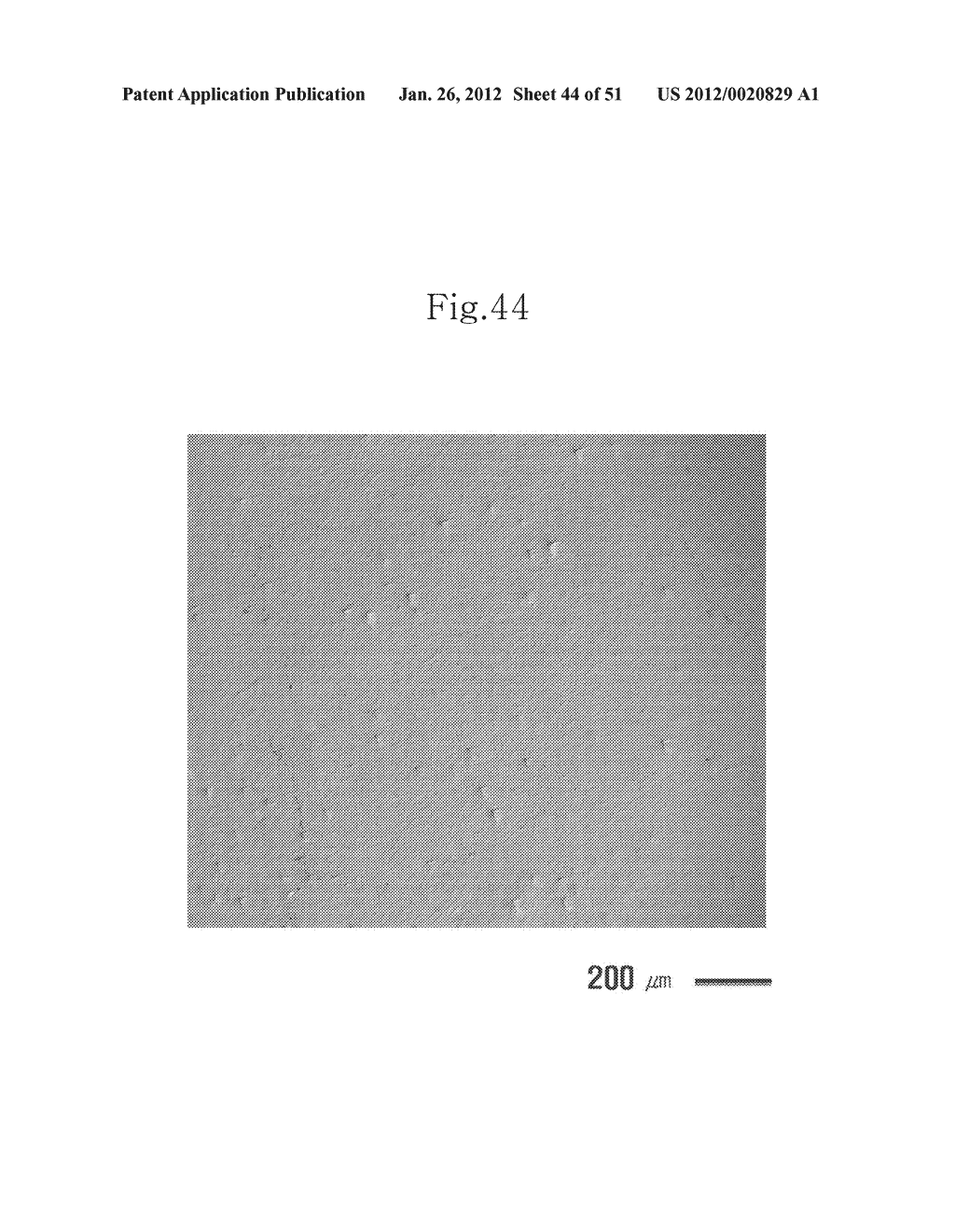 HEAT-RESISTANT ALUMINUM ALLOY AND METHOD FOR MANUFACTURING THE SAME - diagram, schematic, and image 45