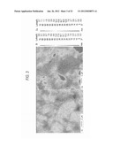 CATALYST FOR REDUCING NITROGEN OXIDES AND METHOD FOR PRODUCING THE SAME diagram and image