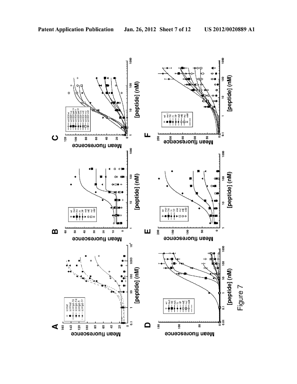 Polypeptides Targeting Vascular Endothelial Growth Factor Receptor-2 and     Alpha V Beta 3 Integrin - diagram, schematic, and image 08