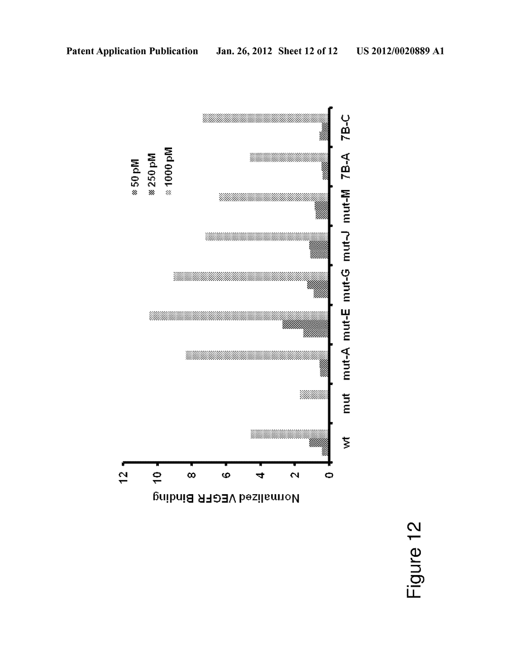 Polypeptides Targeting Vascular Endothelial Growth Factor Receptor-2 and     Alpha V Beta 3 Integrin - diagram, schematic, and image 13