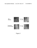 ORAL COMPOSITIONS FOR TREATING TOOTH SENSITIVITY AND METHODS OF USE AND     MANUFACTURE THEREOF diagram and image