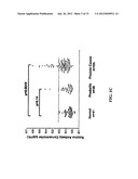 PROSTATE CANCER VACCINE diagram and image