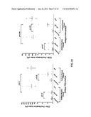 PROSTATE CANCER VACCINE diagram and image