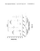 PROSTATE CANCER VACCINE diagram and image