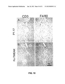 METHODS FOR PANCREATIC TISSUE REGENERATION diagram and image