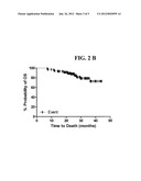 USE OF THE SPARC MICROENVIRONMENT SIGNATURE IN THE TREATMENT OF CANCER diagram and image