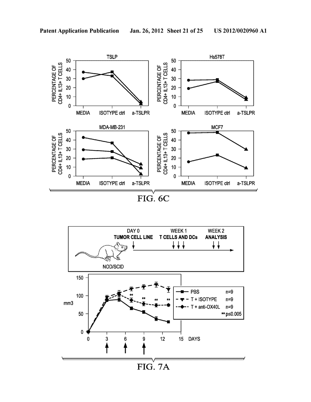 Thymic Stromal Lymphopoietin (TSLP) and OX40 Ligand in Cancer - diagram, schematic, and image 22