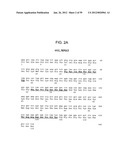 METHODS AND COMPOSITIONS FOR LIVER CANCER THERAPY diagram and image