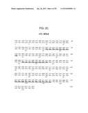 METHODS AND COMPOSITIONS FOR LIVER CANCER THERAPY diagram and image