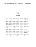 METHODS AND COMPOSITIONS FOR LIVER CANCER THERAPY diagram and image