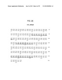 METHODS AND COMPOSITIONS FOR LIVER CANCER THERAPY diagram and image