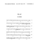 METHODS AND COMPOSITIONS FOR LIVER CANCER THERAPY diagram and image