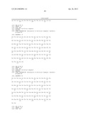 METHODS AND COMPOSITIONS FOR LIVER CANCER THERAPY diagram and image