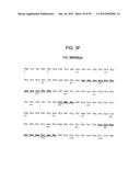 METHODS AND COMPOSITIONS FOR LIVER CANCER THERAPY diagram and image