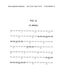 METHODS AND COMPOSITIONS FOR LIVER CANCER THERAPY diagram and image