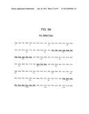 METHODS AND COMPOSITIONS FOR LIVER CANCER THERAPY diagram and image