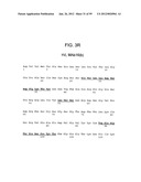 METHODS AND COMPOSITIONS FOR LIVER CANCER THERAPY diagram and image