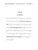 METHODS AND COMPOSITIONS FOR LIVER CANCER THERAPY diagram and image