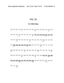 METHODS AND COMPOSITIONS FOR LIVER CANCER THERAPY diagram and image