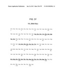 METHODS AND COMPOSITIONS FOR LIVER CANCER THERAPY diagram and image