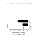 METHODS AND COMPOSITIONS FOR LIVER CANCER THERAPY diagram and image