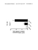 METHODS AND COMPOSITIONS FOR LIVER CANCER THERAPY diagram and image