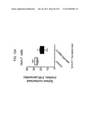 METHODS AND COMPOSITIONS FOR LIVER CANCER THERAPY diagram and image