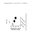 METHODS AND COMPOSITIONS FOR LIVER CANCER THERAPY diagram and image