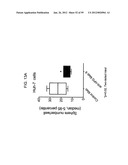 METHODS AND COMPOSITIONS FOR LIVER CANCER THERAPY diagram and image