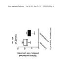 METHODS AND COMPOSITIONS FOR LIVER CANCER THERAPY diagram and image