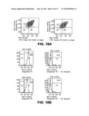 Multispecific antibody targeting and multivalency through modular     recognition domains diagram and image