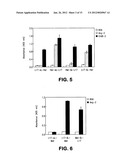 VEGF antibodies comprising modular recognition domains diagram and image