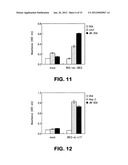 VEGF antibodies comprising modular recognition domains diagram and image