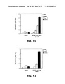 VEGF antibodies comprising modular recognition domains diagram and image