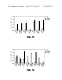 VEGF antibodies comprising modular recognition domains diagram and image