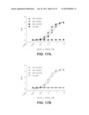 VEGF antibodies comprising modular recognition domains diagram and image