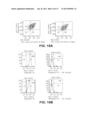 VEGF antibodies comprising modular recognition domains diagram and image