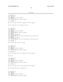 VEGF antibodies comprising modular recognition domains diagram and image