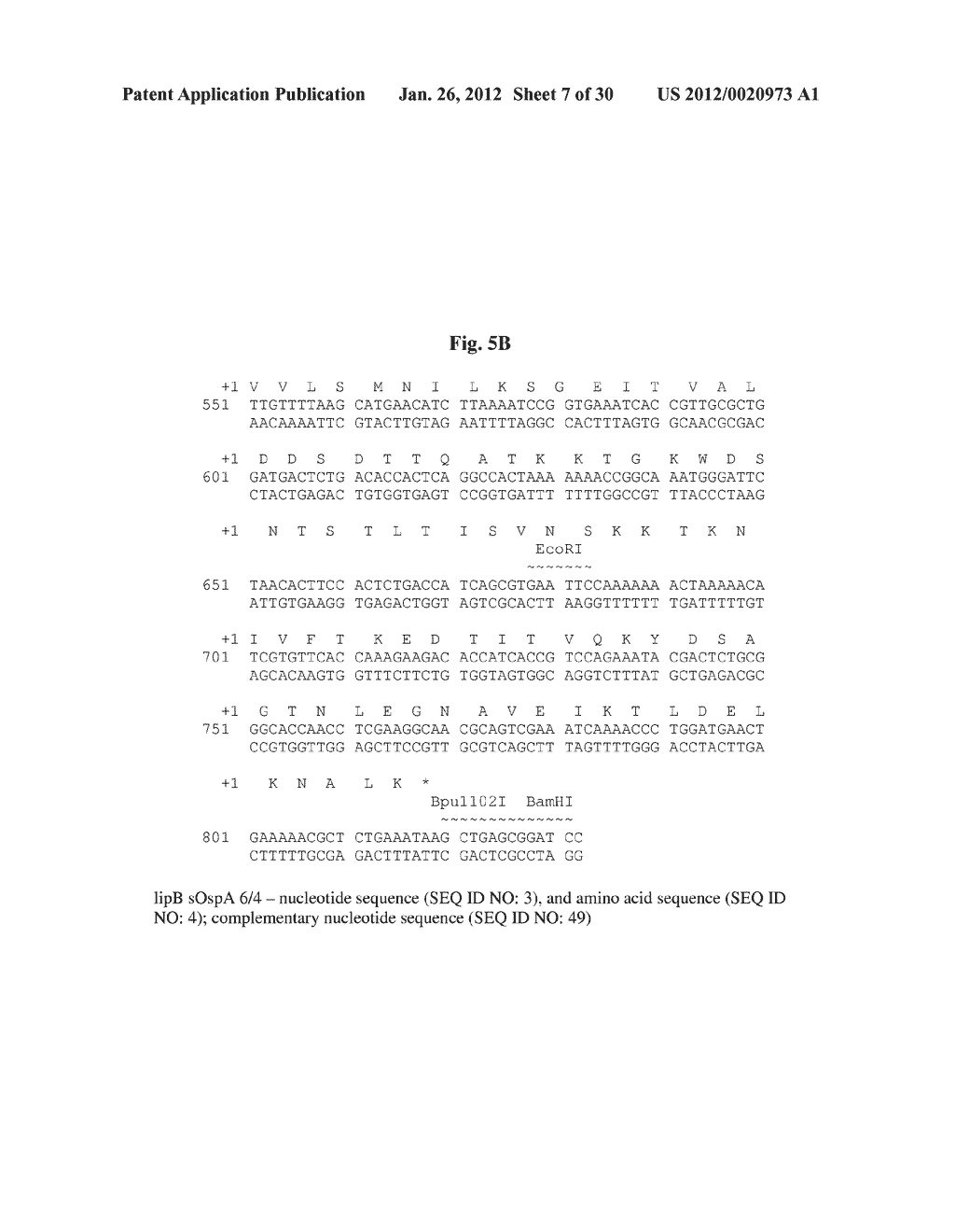 CHIMERIC OSPA GENES, PROTEINS, AND METHODS OF USE THEREOF - diagram, schematic, and image 08