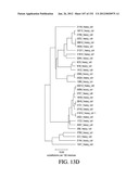 ANTIGEN BINDING PROTEINS TO PROPROTEIN CONVERTASE SUBTILISIN KEXIN TYPE 9     (PCSK9) diagram and image