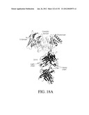 ANTIGEN BINDING PROTEINS TO PROPROTEIN CONVERTASE SUBTILISIN KEXIN TYPE 9     (PCSK9) diagram and image