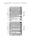 ANTIGEN BINDING PROTEINS TO PROPROTEIN CONVERTASE SUBTILISIN KEXIN TYPE 9     (PCSK9) diagram and image