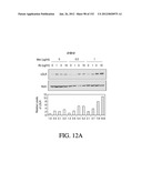 ANTIGEN BINDING PROTEINS TO PROPROTEIN CONVERTASE SUBTILISIN KEXIN TYPE 9     (PCSK9) diagram and image