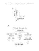 METHODS FOR TREATING IgE-MEDIATED DISORDER diagram and image