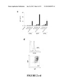 METHODS FOR TREATING IgE-MEDIATED DISORDER diagram and image