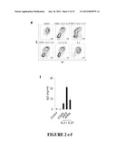 METHODS FOR TREATING IgE-MEDIATED DISORDER diagram and image