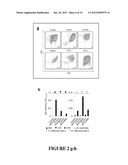 METHODS FOR TREATING IgE-MEDIATED DISORDER diagram and image