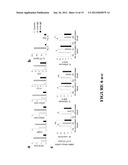 METHODS FOR TREATING IgE-MEDIATED DISORDER diagram and image